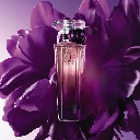 Lancôme Trésor Midnight Rose 50ml eau de parfum  